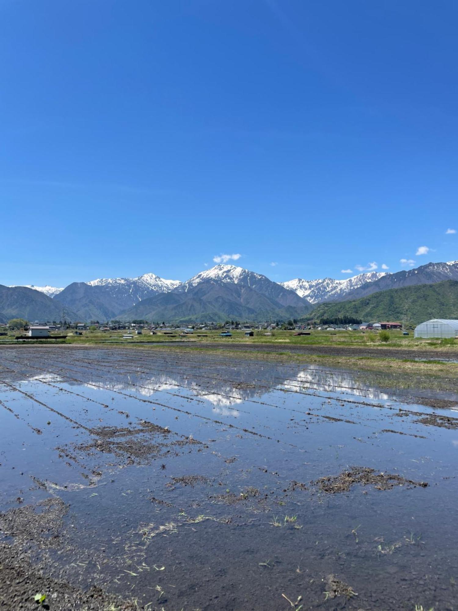 北アルプス麓のゲストハウス林屋 Omachi  Exterior foto
